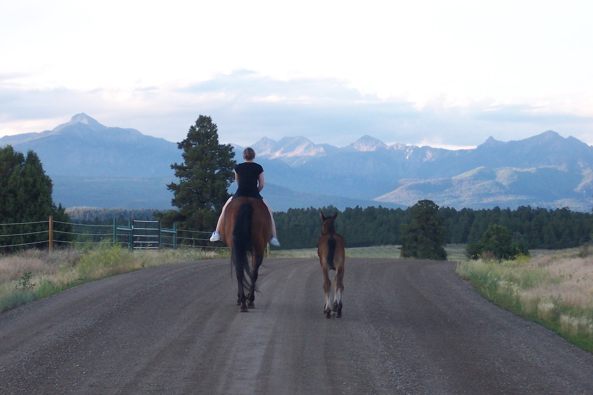 You are currently viewing Summer in Pagosa Springs, Colorado – Worth it!